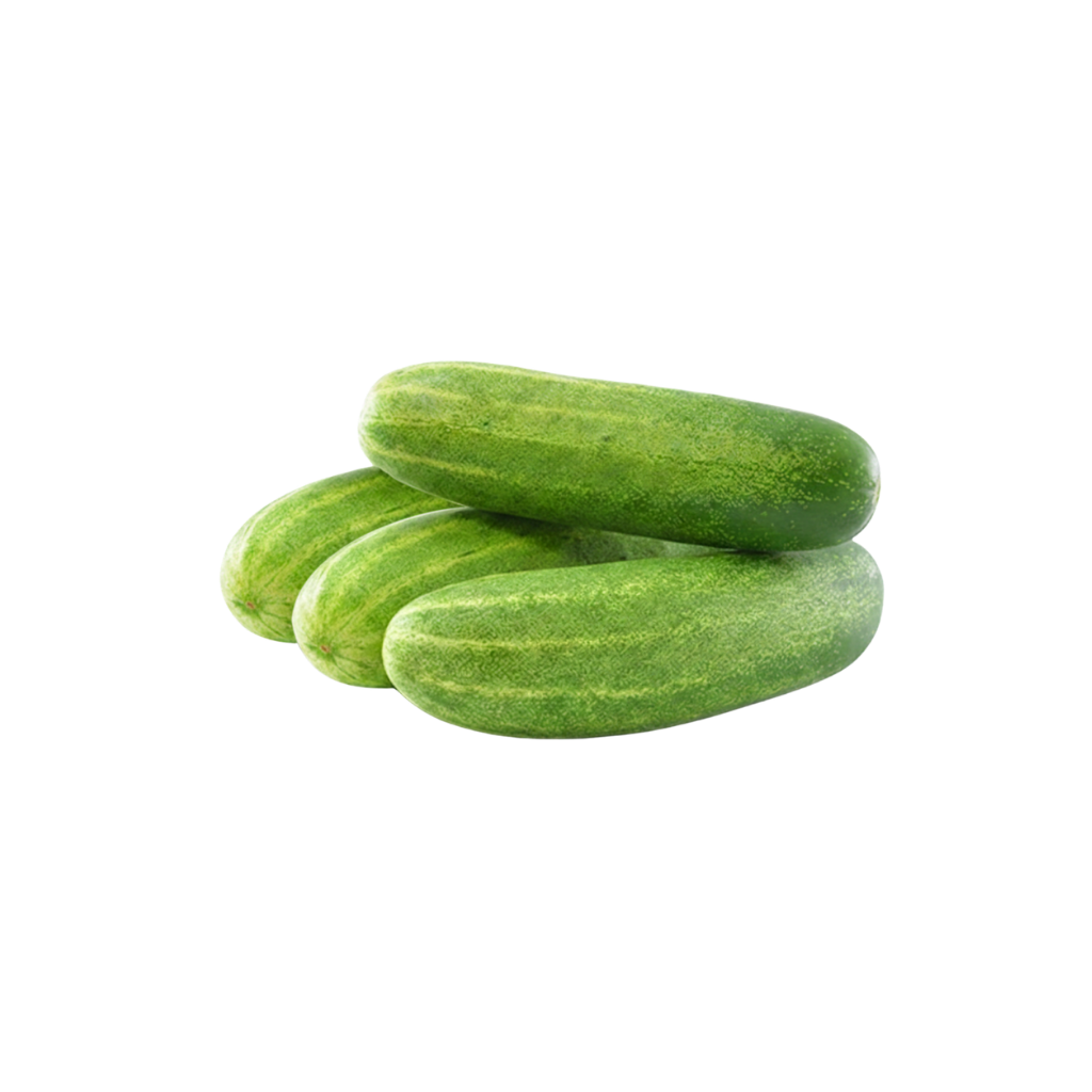 Desi Cucumber 1 lb buy online USA - 1